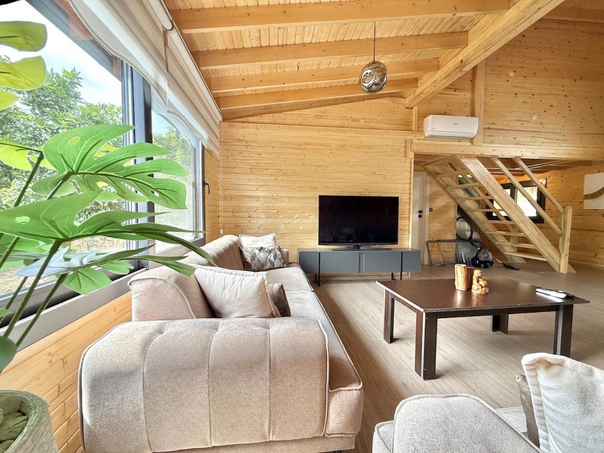 Villa With Hot Pool In *
