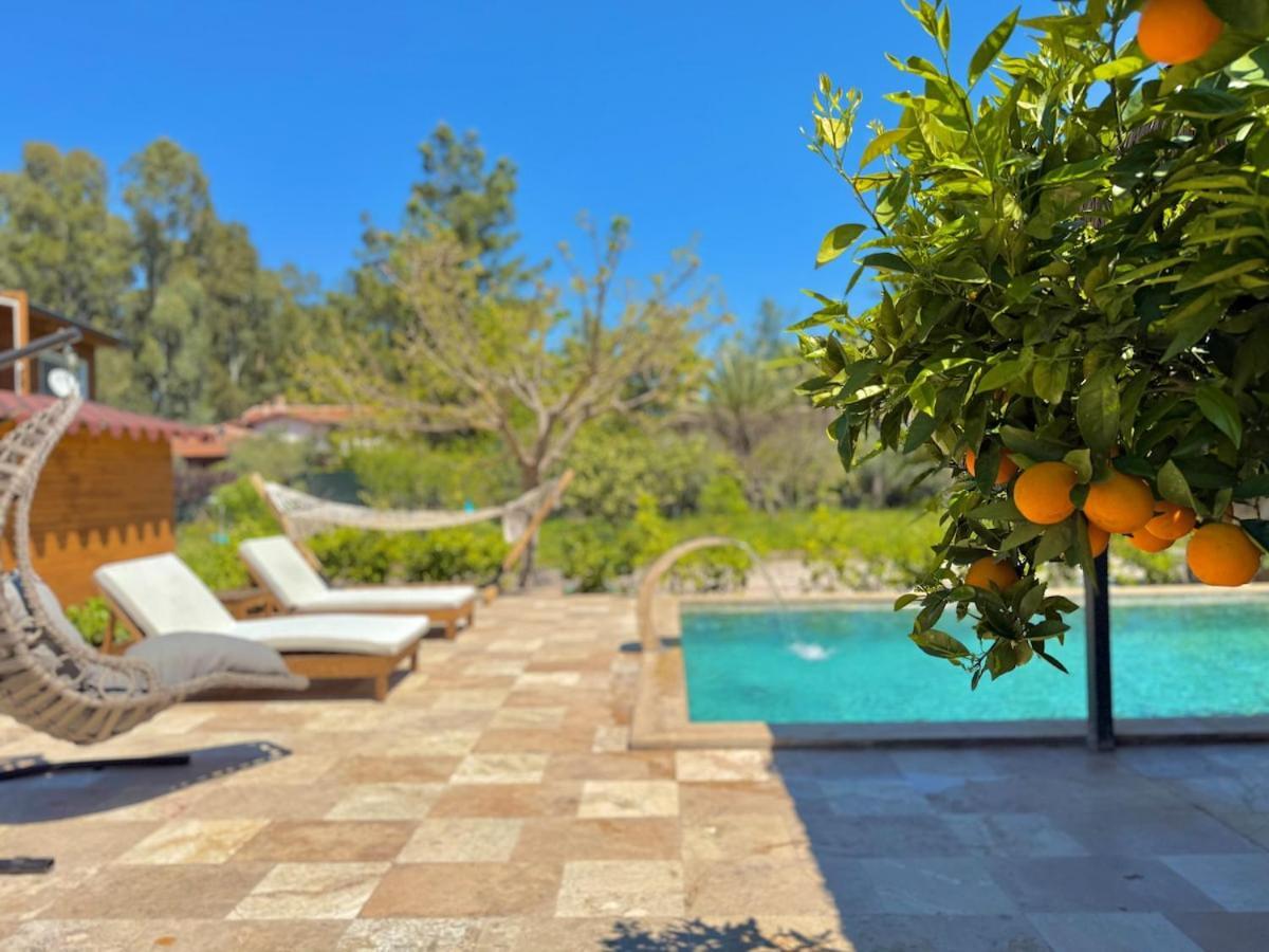 Villa With Hot Pool In *